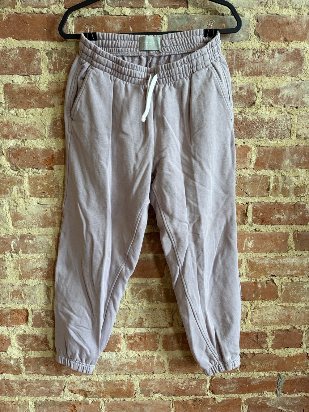 Everlane Lavender-Tone Sweatpants with Drawstring